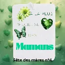 L’amour d’une maman, ça sent toujours bon (8).webp